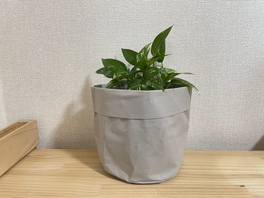 スタンダードプロダクツのペーパープランターポット。